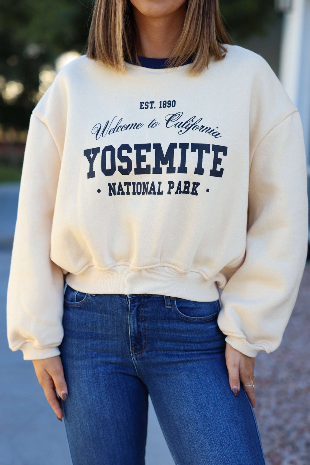 Cream Yosemite Graphic Crewneck Pullover - FINAL SALE